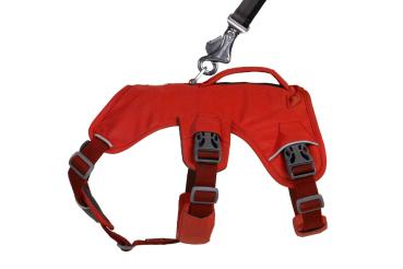 Ruffwear Web Master Harness Red Sumac Gr. XS